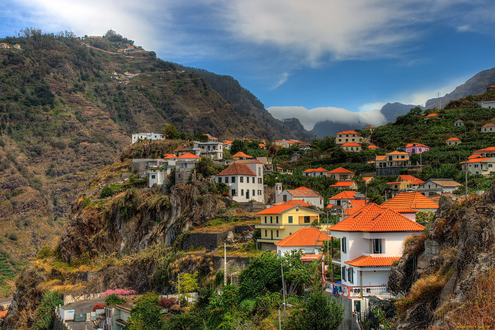 , madeira, ribeira, brava, , 